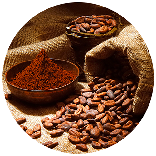 Bột cacao - Cà Phê & Hoa Quả GNF Japan - Công Ty TNHH GNF Japan